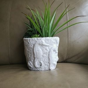 Nautical Succulents Decor